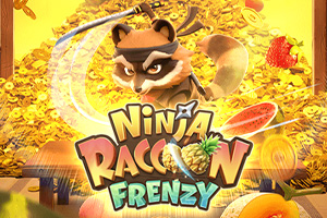 Ninja Raccoon Frenzy