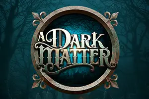 A Dark Matter