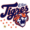 Tigres